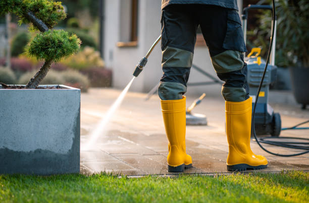 Best Gutter Cleaning in USA